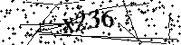 Digita le lettere e numeri qui sotto