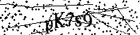 Digita le lettere e numeri qui sotto