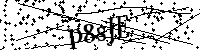 Digita le lettere e numeri qui sotto