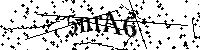 Digita le lettere e numeri qui sotto