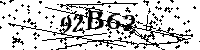 Digita le lettere e numeri qui sotto