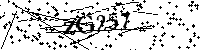 Digita le lettere e numeri qui sotto