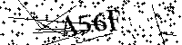 Digita le lettere e numeri qui sotto