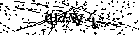 Digita le lettere e numeri qui sotto