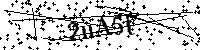 Digita le lettere e numeri qui sotto