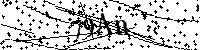 Digita le lettere e numeri qui sotto