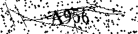 Digita le lettere e numeri qui sotto