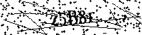 Digita le lettere e numeri qui sotto