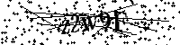 Digita le lettere e numeri qui sotto