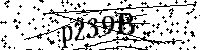 Digita le lettere e numeri qui sotto