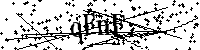 Digita le lettere e numeri qui sotto