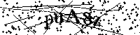 Digita le lettere e numeri qui sotto