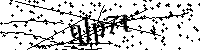 Digita le lettere e numeri qui sotto