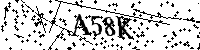 Digita le lettere e numeri qui sotto