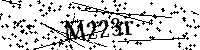 Digita le lettere e numeri qui sotto