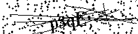 Digita le lettere e numeri qui sotto