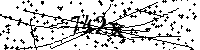 Digita le lettere e numeri qui sotto