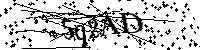 Digita le lettere e numeri qui sotto