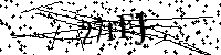 Digita le lettere e numeri qui sotto