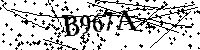 Digita le lettere e numeri qui sotto