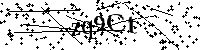Digita le lettere e numeri qui sotto