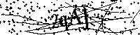 Digita le lettere e numeri qui sotto