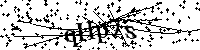 Digita le lettere e numeri qui sotto