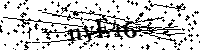 Digita le lettere e numeri qui sotto