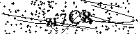Digita le lettere e numeri qui sotto