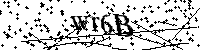 Digita le lettere e numeri qui sotto