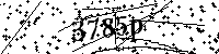 Digita le lettere e numeri qui sotto