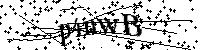 Digita le lettere e numeri qui sotto