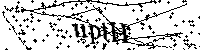 Digita le lettere e numeri qui sotto