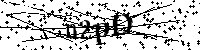 Digita le lettere e numeri qui sotto