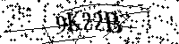 Digita le lettere e numeri qui sotto