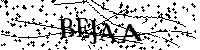 Digita le lettere e numeri qui sotto