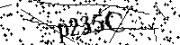 Digita le lettere e numeri qui sotto