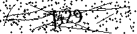 Digita le lettere e numeri qui sotto