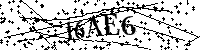 Digita le lettere e numeri qui sotto
