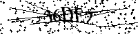 Digita le lettere e numeri qui sotto
