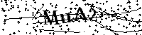 Digita le lettere e numeri qui sotto