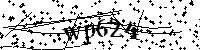 Digita le lettere e numeri qui sotto