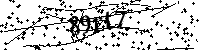 Digita le lettere e numeri qui sotto