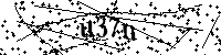 Digita le lettere e numeri qui sotto