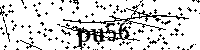Digita le lettere e numeri qui sotto