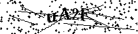 Digita le lettere e numeri qui sotto