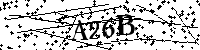 Digita le lettere e numeri qui sotto
