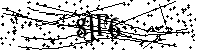 Digita le lettere e numeri qui sotto