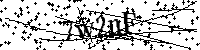 Digita le lettere e numeri qui sotto