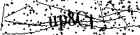 Digita le lettere e numeri qui sotto